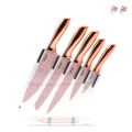 Ensemble de 5 couteaux en acier inoxydable avec bloc transparent Bisetti Stonerose Promotion