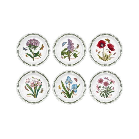 Lot de 6 assiettes plates 20 cm en porcelaine Portmeirion Botanic Garden Promotion