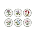Lot de 6 assiettes plates 20 cm en porcelaine Portmeirion Botanic Garden Promotion