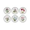 Lot de 6 assiettes plates 20 cm en porcelaine Portmeirion Botanic Garden Promotion