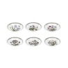Lot de 6 assiettes creuses à pâtes en porcelaine Portmeirion Botanic Garden Promotion