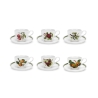 Ensemble de 6 tasses à thé avec soucoupe en porcelaine Portmeirion Pomona Promotion