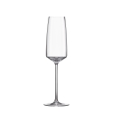 Ensemble de 6 flûtes à dégustation pour cuisine et bar 250 ml Siesta Vente