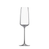 Ensemble de 6 flûtes à dégustation pour cuisine et bar 250 ml Siesta Vente