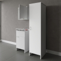 Ensemble de buanderie mobile avec meuble suspendu et colonne Negrari COMP 5 Vente
