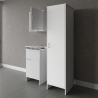 Ensemble de buanderie mobile avec meuble suspendu et colonne Negrari COMP 5 Vente