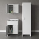 Ensemble buanderie mobile avec lavabo suspendu et colonne Negrari COMP 6 Vente