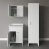 Ensemble buanderie mobile avec lavabo suspendu et colonne Negrari COMP 6 Vente