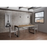Table extensible 18 places design industriel 90×180-440 Tecno Evolution Choix
