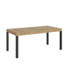 Table extensible industriel métal bois 18 personnes 90×180-440 Everyday Promotion