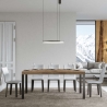 Table extensible industriel métal bois 18 personnes 90×180-440 Everyday Vente