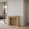 Console extensible pour entrée ou salle à manger, 10 personnes, 90×25-211 Kiba Modèle