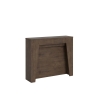 Console extensible moderne minimaliste 90×25-211 Anea 