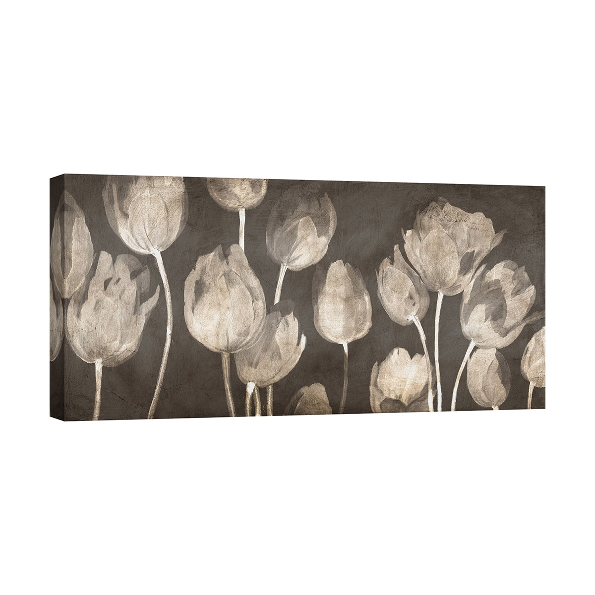 Tableau tulipes impression moderne sur toile Washed Tulips Luca Villa Promotion Tableau tulipes impression moderne sur toile Washed Tulips Luca Villa Promotion