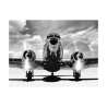 Tableau impression sur toile noir et blanc avion vintage Airplane taking off Offre