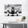 Tableau impression sur toile noir et blanc avion vintage Airplane taking off Remises