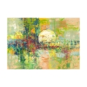 Toile abstraite impression moderne Luna piena Lucas Offre