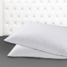Lot de 2 taies d'oreiller 50x80cm en percale de coton à rabat Miami Caractéristiques