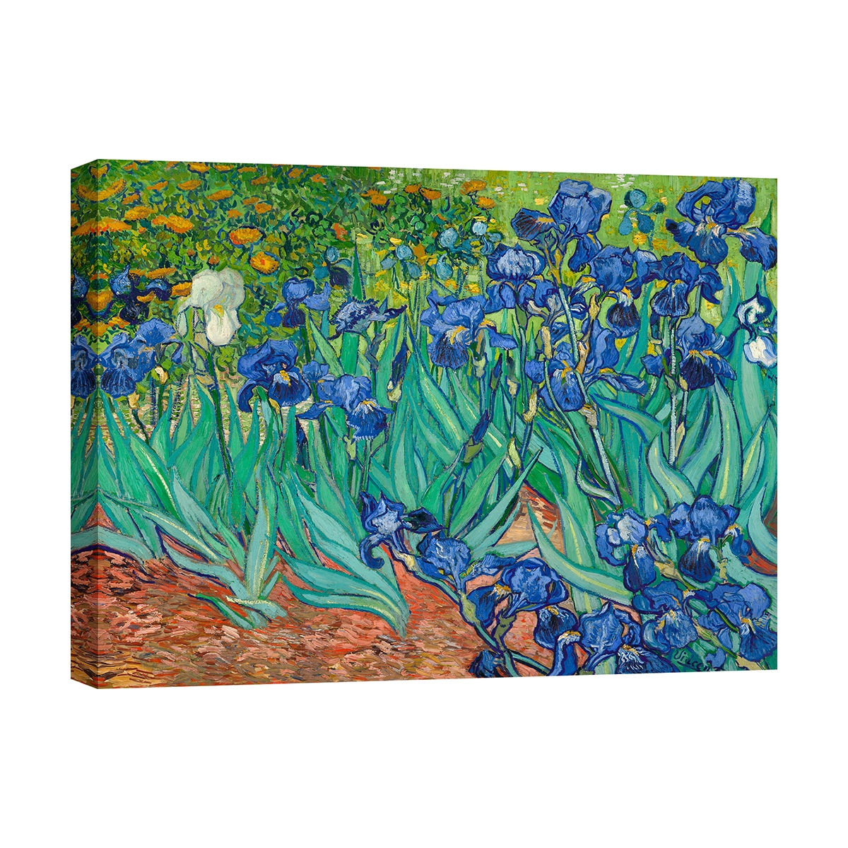 Impression sur toile canvas tableau impressionniste Iris Vincent van Gogh Promotion