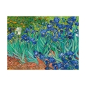 Impression sur toile canvas tableau impressionniste Iris Vincent van Gogh Offre