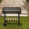 Barbecue charbon de bois avec grilles réglables en hauteur et roues Braska Offre