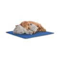 Tapis rafraîchissant pour animaux 50x70 cm Puppy Remises