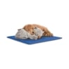Tapis rafraîchissant pour animaux 50x70 cm Puppy Remises