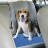Tapis rafraîchissant pour animaux 50x70 cm Puppy Réductions
