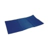 Tapis rafraîchissant pour animaux 50x70 cm Puppy Offre