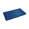 Tapis rafraîchissant petit format en gel pour animaux 30x40cm Puppy Réductions