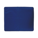 Tapis rafraîchissant petit format en gel pour animaux 30x40cm Puppy Offre