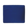 Tapis rafraîchissant petit format en gel pour animaux 30x40cm Puppy Offre