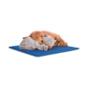 Tapis rafraîchissant petit format en gel pour animaux 30x40cm Puppy Remises