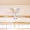 Ventilateur de plafond avec lumière 3 pales 5 vitesses Windy Vente