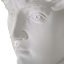 Sculpture décorative tête d'homme en résine 44x35,5x60cm David Choix