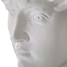 Sculpture décorative tête d'homme en résine 44x35,5x60cm David Choix