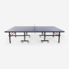 Table de ping-pong professionnelle pliante intérieur extérieur 274x152.5 cm Ace Achat