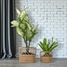 Ensemble de 2 porte-plantes ronds en métal et rotin Panama Vente