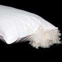 Oreiller de lit 50x80 cm en duvet d'oie Offre