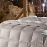 Couette quatre saisons king size 250x200 cm Islanda Offre