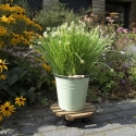 Chariot rond pour plantes en bois avec roulettes Remises