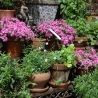 Étagère angulaire porte-plantes d'extérieur jardin 3 niveaux Offre