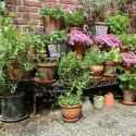 Étagère angulaire porte-plantes d'extérieur jardin 3 niveaux Vente