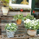 Étagère échelle porte-plantes à 3 niveaux en fonte pour extérieur Offre