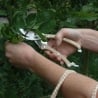 Ciseaux de taille pour plantes et fleurs en acier inoxydable avec manche en bois Vente