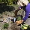 Support à outils de jardin en toile cirée enroulable Vente