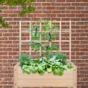 Support en bois pour plantes grimpantes 78,2x3,8x84,9cm Vente
