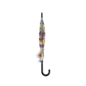 Parapluie transparent avec imprimé papillons colorés Offre
