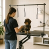 Table de Toilettage réglable en hauteur pour Chien et Chats 110 cm Griffon Remises