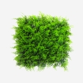 Haie artificielle 50x50cm fougère 3D jardin balcon Pritus Promotion